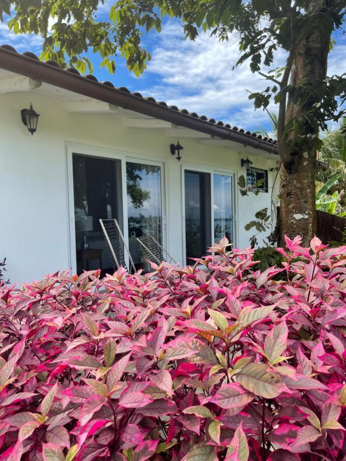 Boca Brava Paradise Bed & Breakfast Бока Чика Екстериор снимка